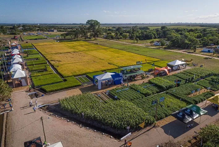 Definida programação da Abertura Oficial da Colheita do Arroz