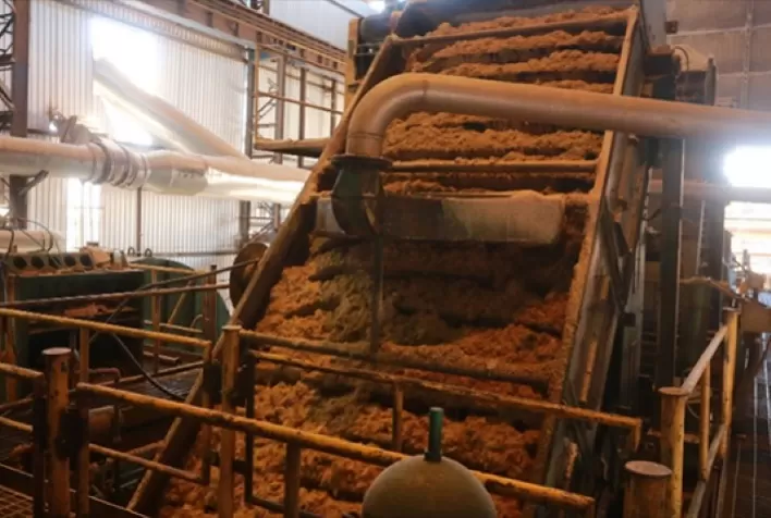 CANA: Centro-Sul processa 2,048 milhões de t na 1ª quinzena de dezembro
