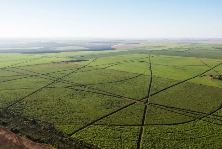 Drones pulverizadores revolucionam agricultura ao reduzir custos na aplicação de insumos em até 50%