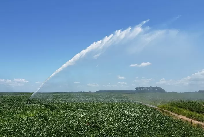Fomento à irrigação será tema da Abertura da Colheita do Arroz