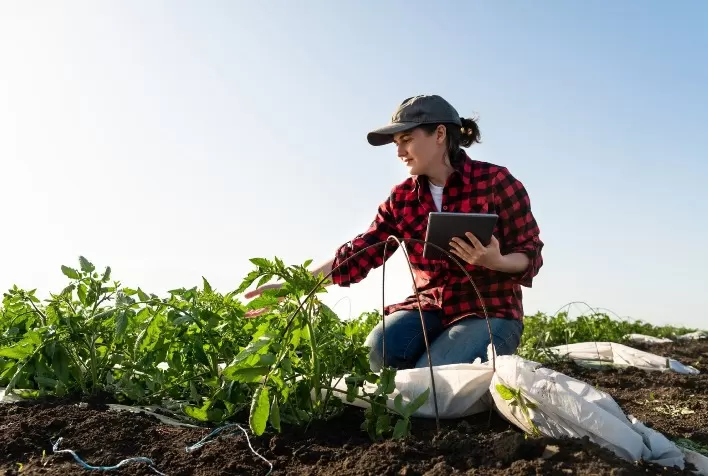 Bayer lança programa de educação em agricultura digital