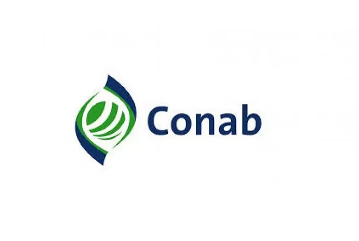 Conab divulga calendário de levantamento das safras agrícolas e do mercado hortigranjeiro