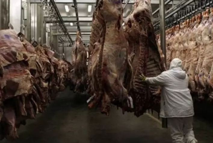Exportações totais de carne bovina subiram 8% em quantidade e 11% na receita em 2020