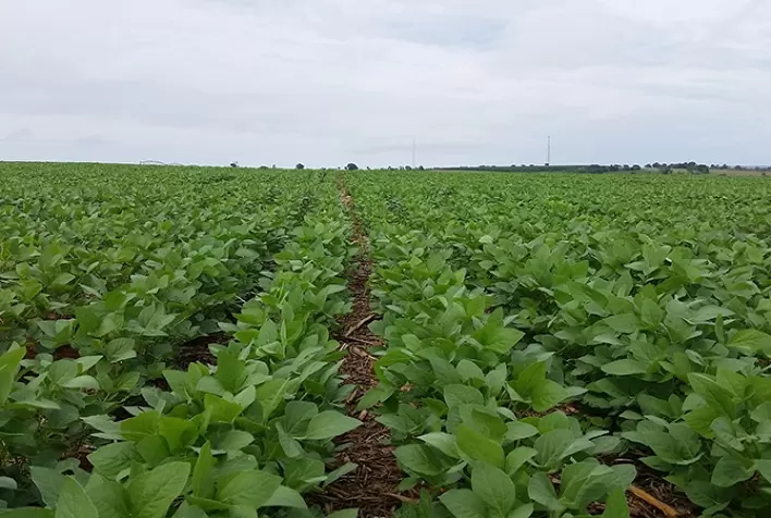 Título verde pode injetar R$ 700 bilhões na agricultura brasileira até 2030