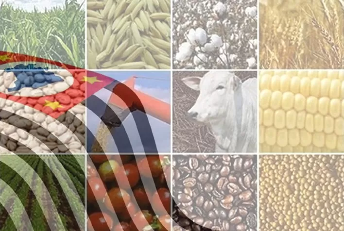 Secretaria de Agricultura divulga a estimativa preliminar do VPA 2020