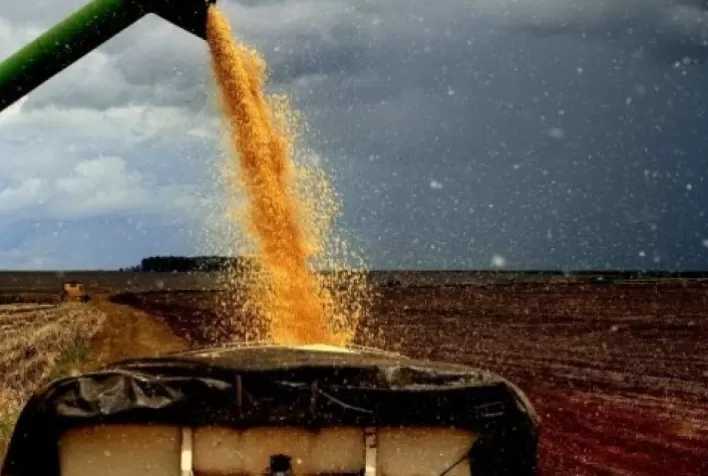 Soja opera com leves altas em Chicago nesta 3ª antes dos boletins do USDA