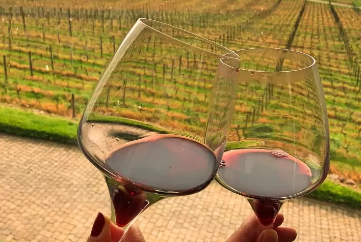 Altos Montes coleta amostra da primeira safra de vinhos com selo de Indicação de Procedência