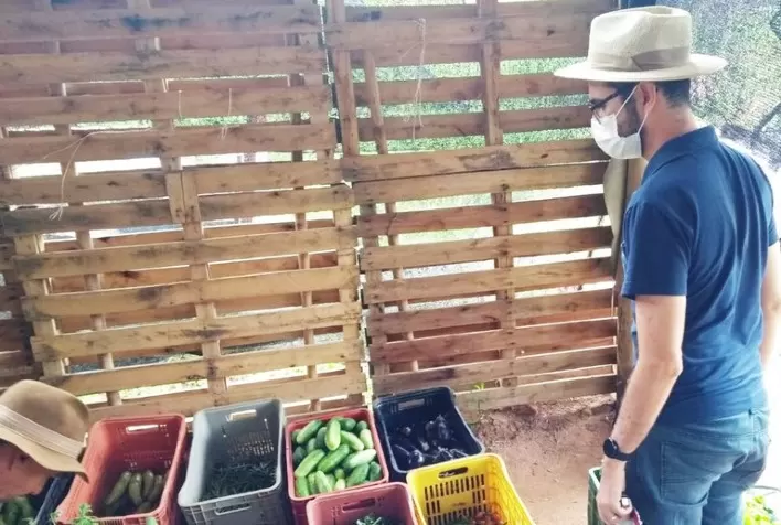 Força-tarefa do Mapa fiscaliza alimentos orgânicos no estado de São Paulo