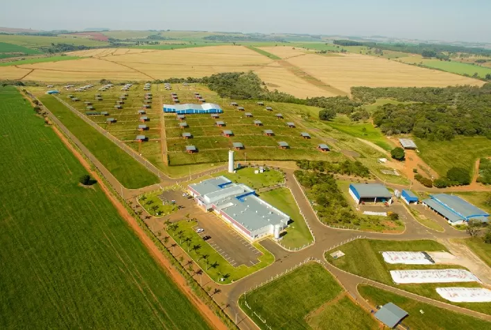 Com 4 milhões de doses, Central Bela Vista registra recorde de produção em 2020