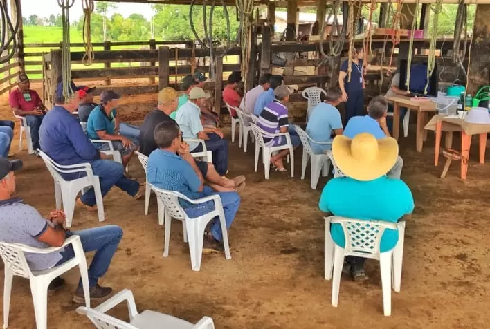 Pesquisa traça panorama da qualidade do leite em Rondônia e Acre