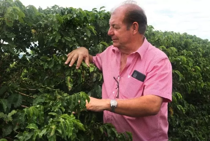 Com projeto de irrigação, cafeicultor aumenta produtividade em 28%