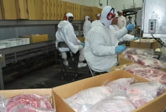 Argentina teve salto de 66% nas exportações de carne suína em 2020