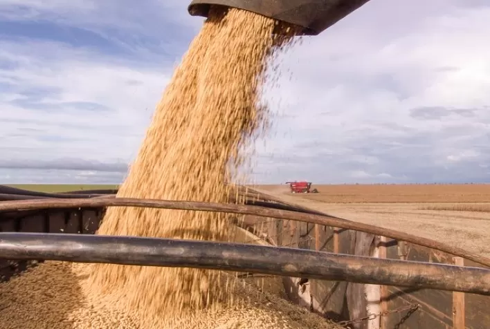 Preços de commodities no atacado pressionam e IGP-M acelera alta a 2,37% na 2ª prévia de janeiro, diz FGV