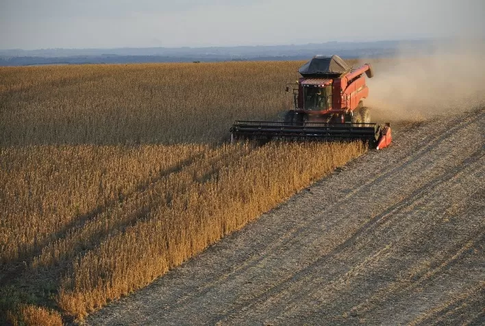 Colheita de soja em Dourados (MS) deve iniciar até semana que vem