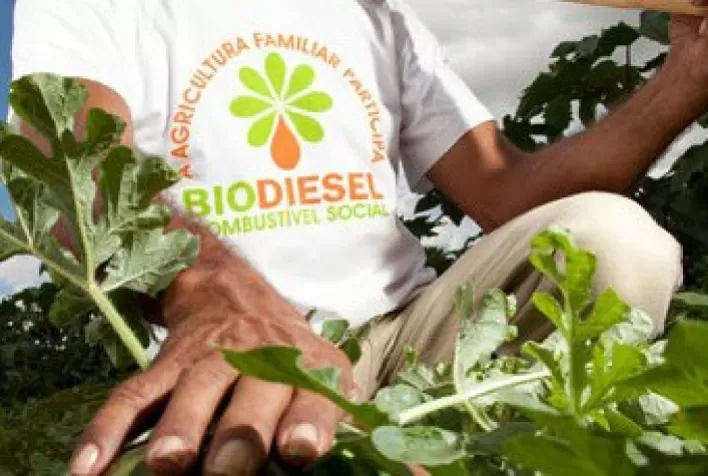 Selo Biocombustível Social gera renda para agricultores familiares