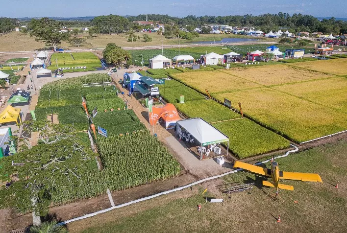 Azonasul aprova protocolos para Abertura da Colheita do Arroz