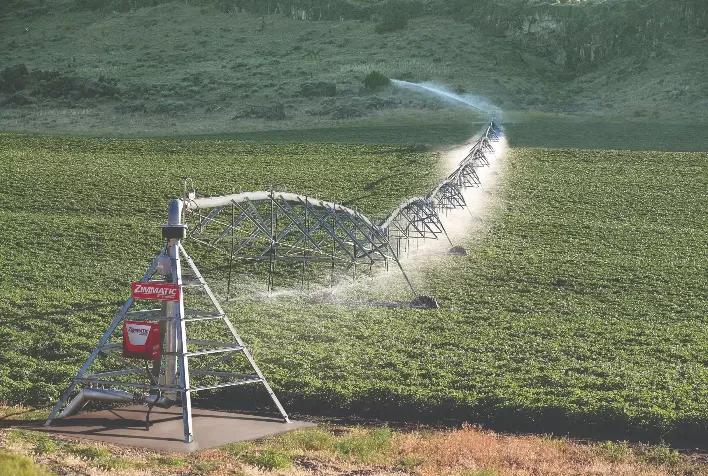 Irrigação eficiente precisa ser sustentável e econômica