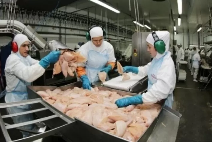 Carne de frango: no mix exportado em 2020, só a carne salgada registrou aumento de volume