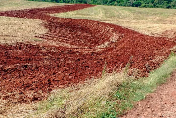 Europa precisa de lei para proteger solos, diz especialista