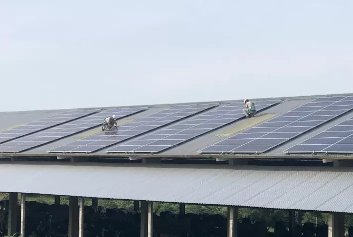Europa precisa dobrar participação de renováveis na matriz para cumprir pacto climático