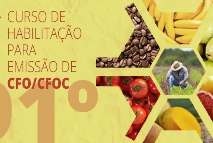 IMA realiza em fevereiro curso que habilita emissão de CFO e CFOC