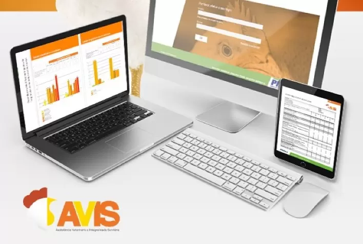 Sistema AVIS, da Phibro, oferece assistência veterinária, monitoramento sanitário e gestão da informação