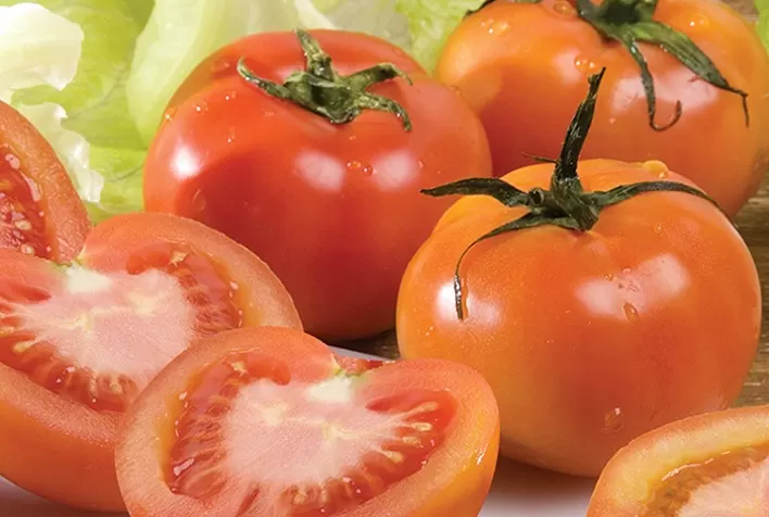 Conab destaca tomates mais baratos e aumento da exportação de frutas