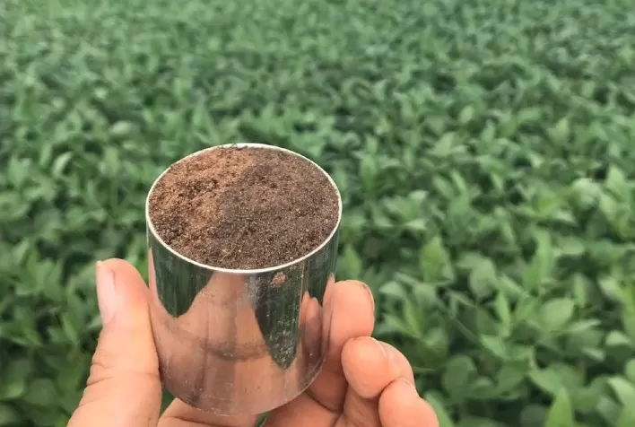 Sumitomo Chemical lança projeto para Pagamentos por Serviços Ambientais