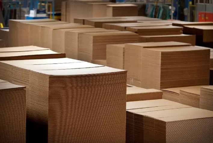 Empapel encerra 2020 com produção recorde desde julho