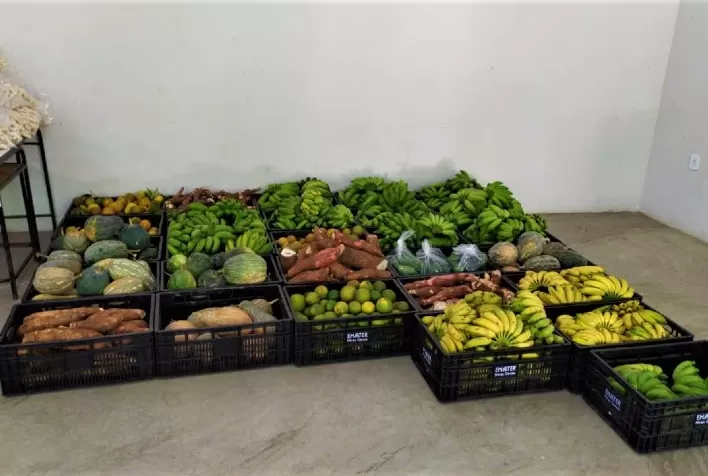 Mantida autorização para que agricultores familiares forneçam produtos para kits de alimentação escolar durante a pandemia