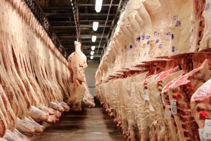 Imac vê 2021 desafiador e projeta queda de abates de carne bovina em MT