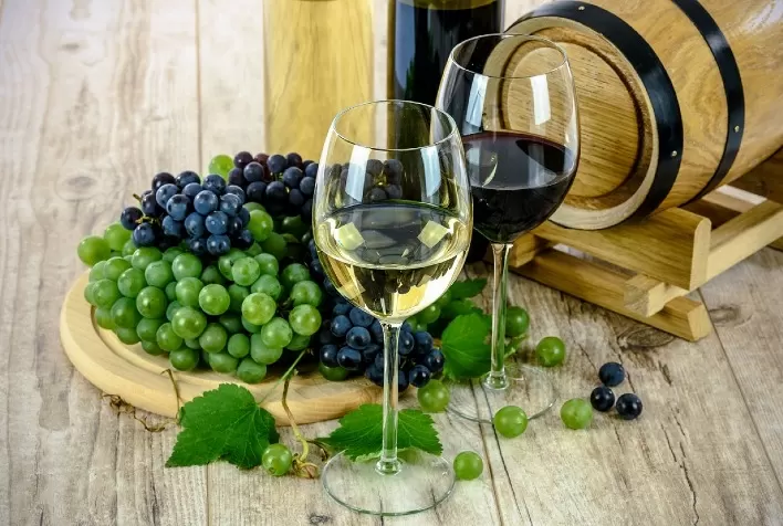 Brasil é pioneiro em Indicação Geográfica de vinhos tropicais, aponta Embrapa
