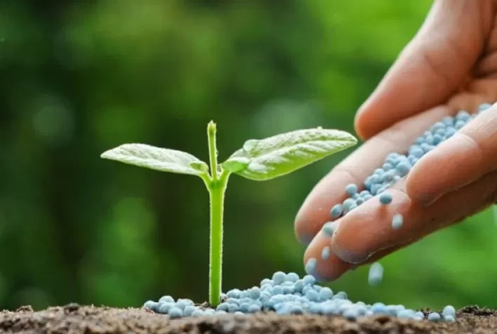 Vale a pena comprar agora fertilizantes? SAIBA AQUI