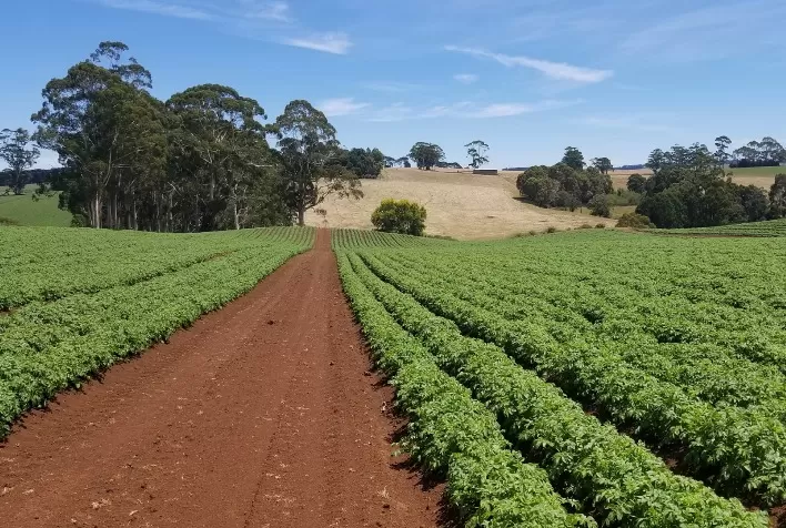 Nova lei do agro facilita acesso do setor aos investimentos do exterior