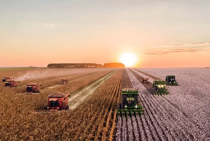 Mato Grosso impulsiona recorde no valor bruto da produção agropecuária, aponta secretaria