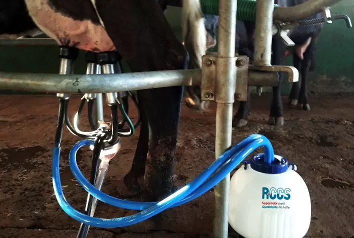 Casa Glória traz ao mercado novidade em equipamento para vacas leiteiras