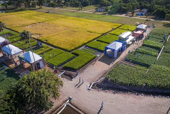 Abertura Oficial da Colheita do Arroz contará com presença do vice-presidente