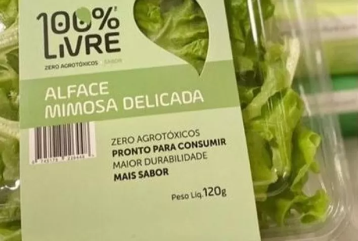 Hortaliças produzidas em fazenda vertical chegam ao mercado da capital paulista