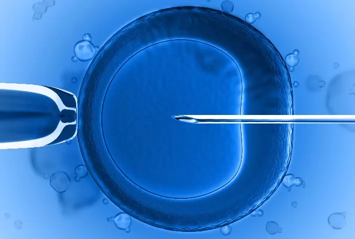 Alta investe em tecnologia de produção de embriões in vitro