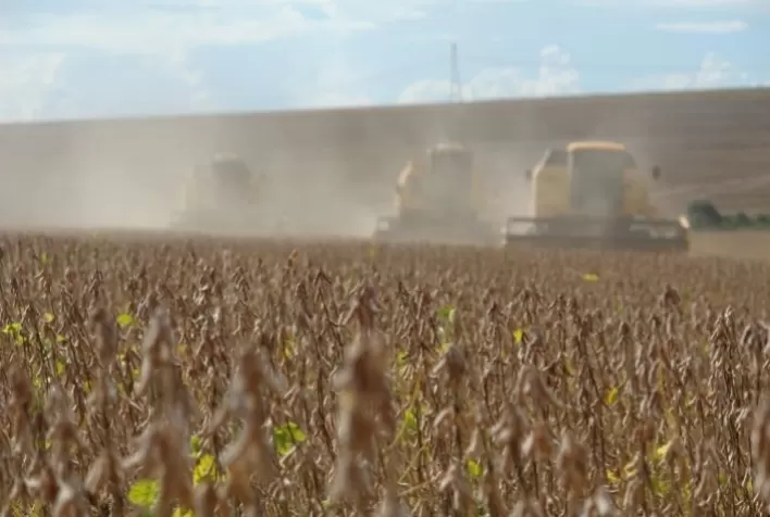 DATAGRO eleva safra 2020/21 de soja do Brasil para recorde de 135,87 mi t; consultoria aumenta projeção para o milho