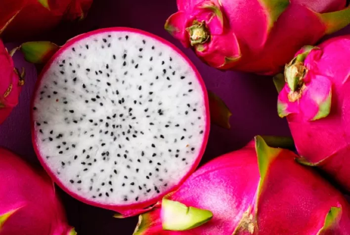 RS: plantio de pitaya atrai interesse de produtores em Santa Cruz