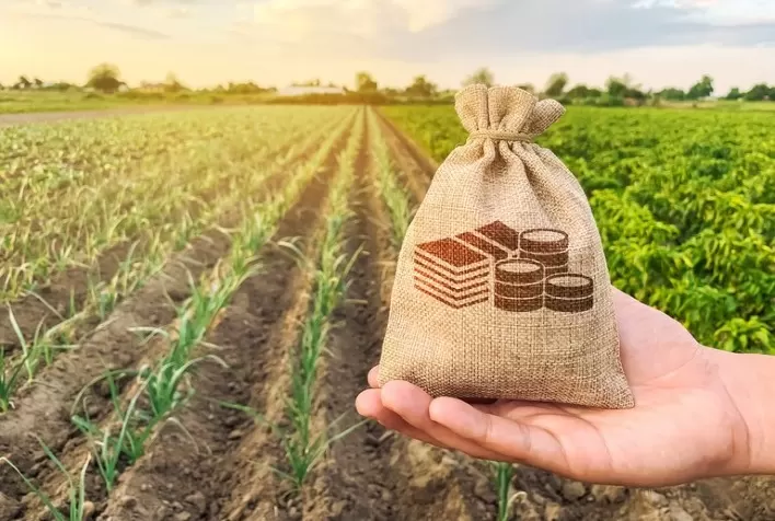 Aplicação dos recursos de crédito rural ultrapassa R$ 135 bilhões em sete meses