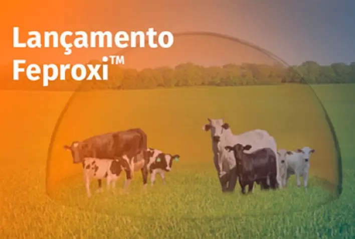 DSM apresenta produto para impulsionar ainda mais índices reprodutivos dos rebanhos de leite e corte
