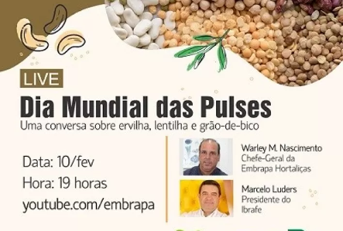 CNA promove seminário em comemoração ao Dia Mundial dos Pulses