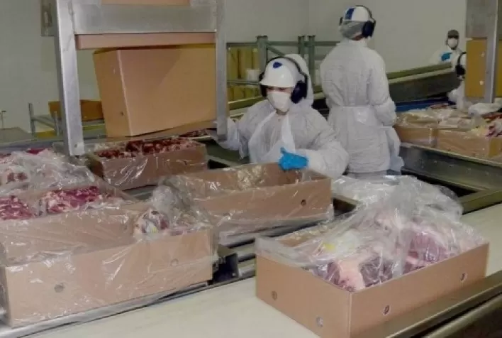 Recuo nas exportações brasileiras de carne bovina na primeira semana de fevereiro