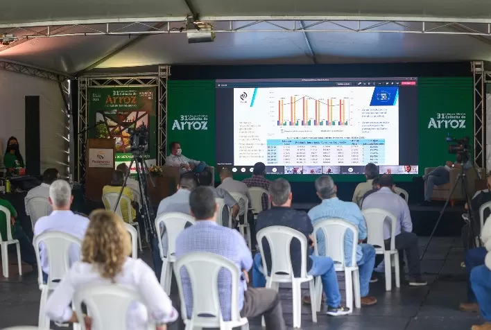 Entidades levam demandas para a Câmara Setorial do Arroz