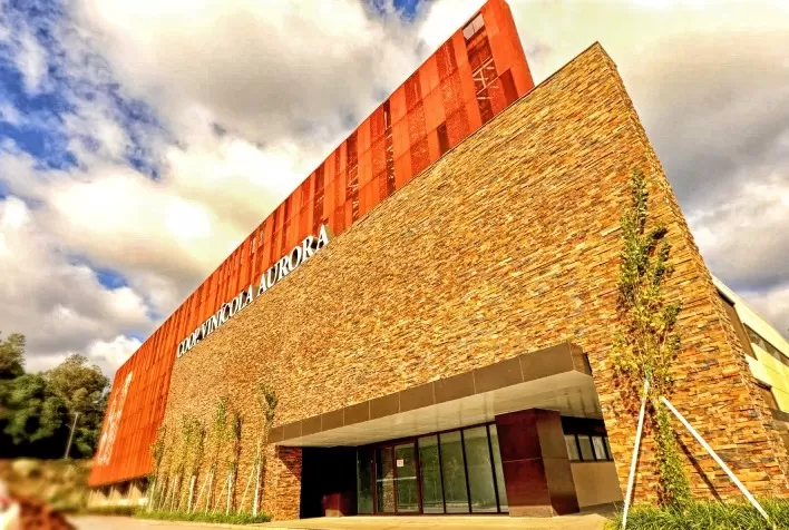 Vinícola Aurora comemora 90 anos com crescimento de 26% nas vendas