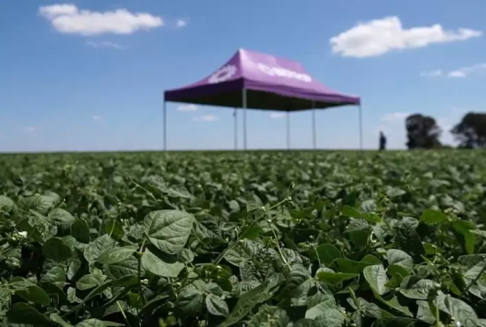 Mercado de biológicos pede passagem no agronegócio