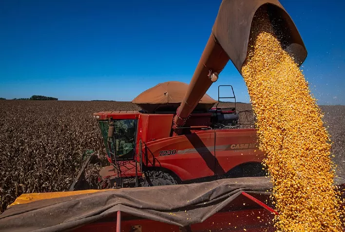 FAESC: Aumentar a produção de milho é desafio e prioridade em SC