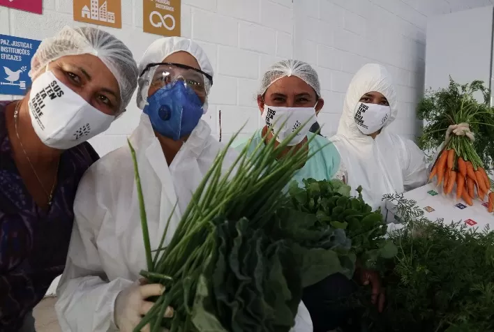Moeda Semente abre apoio para projeto que é solução para agricultores familiares no RJ
